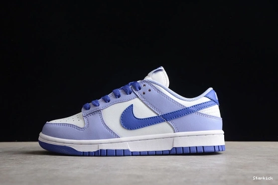 (GS) Dunk Blueberry Low Nike DZ4456-100 1123